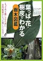 Amazon.co.jp: 葉っぱ・花・樹皮でわかる 樹木図鑑 (池田書店